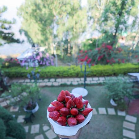 Valleycrest Villa With Swimming Pool Mahābaleshwar Kültér fotó