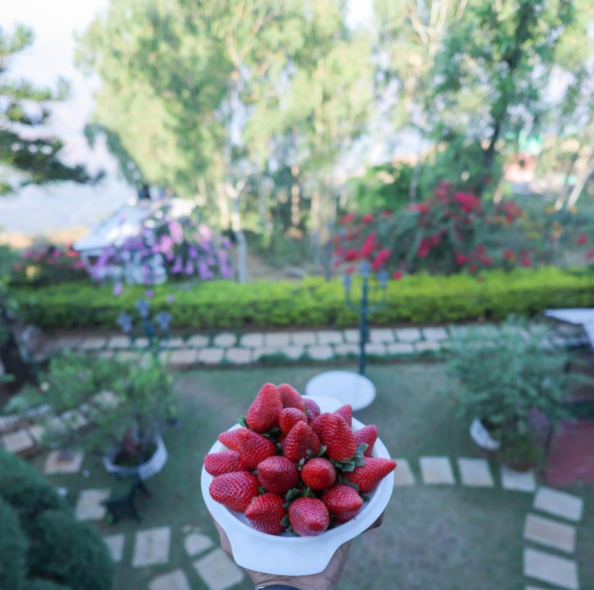Valleycrest Villa With Swimming Pool Mahābaleshwar Kültér fotó